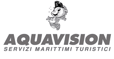 Logo Aquavision Service